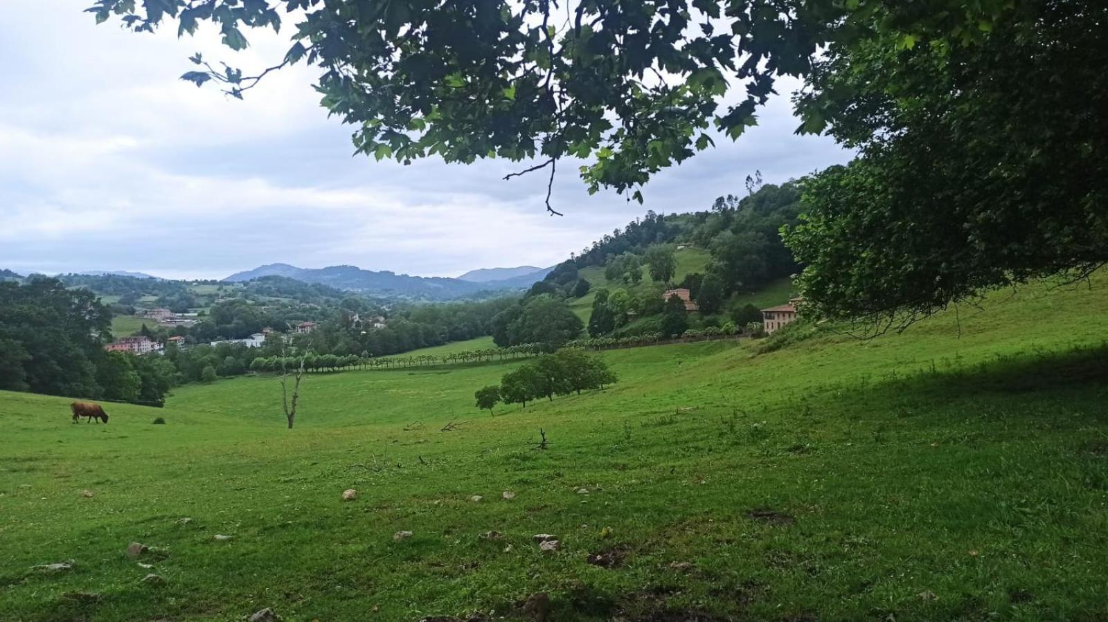 Casa Rural La Collada Sorribas  Eksteriør billede